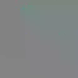 El Naturalista Zumaia N5653