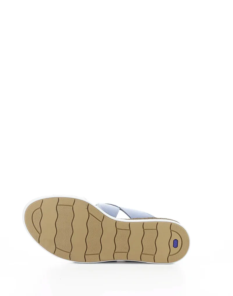 Asha slika 10