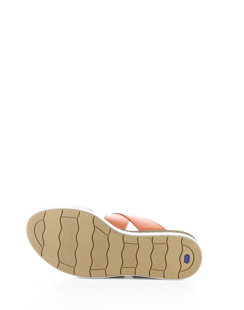 Asha slika 10