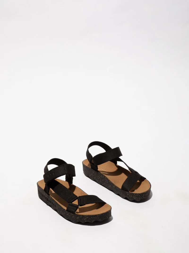 Clew P018222 slika 1