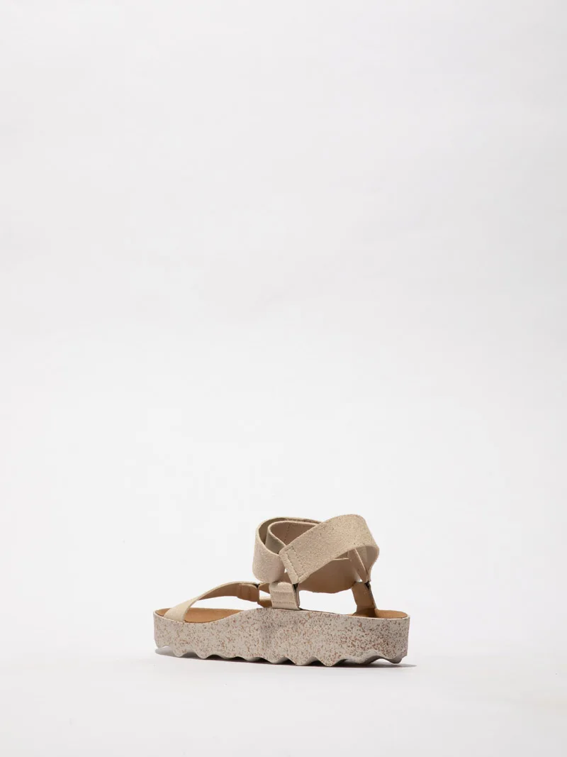 Clew P018222 slika 2