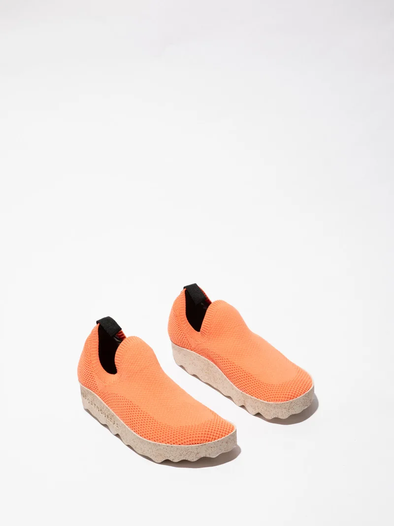 Asportuguesas Clip P018226 slika 1