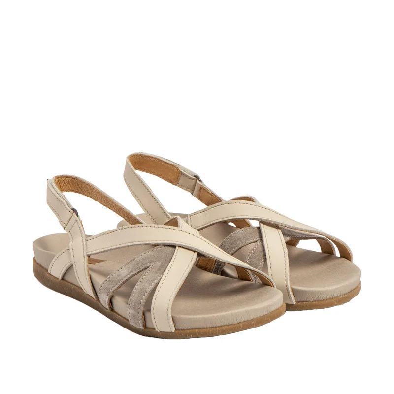 El Naturalista Zumaia N5653 slika 1