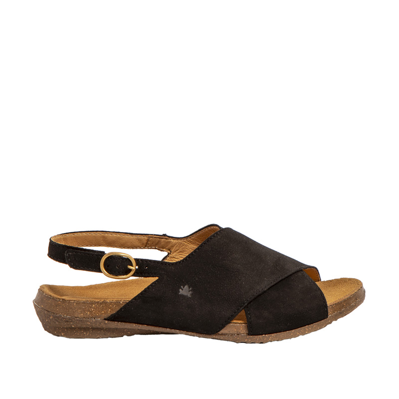 El Naturalista Wakataua N5558