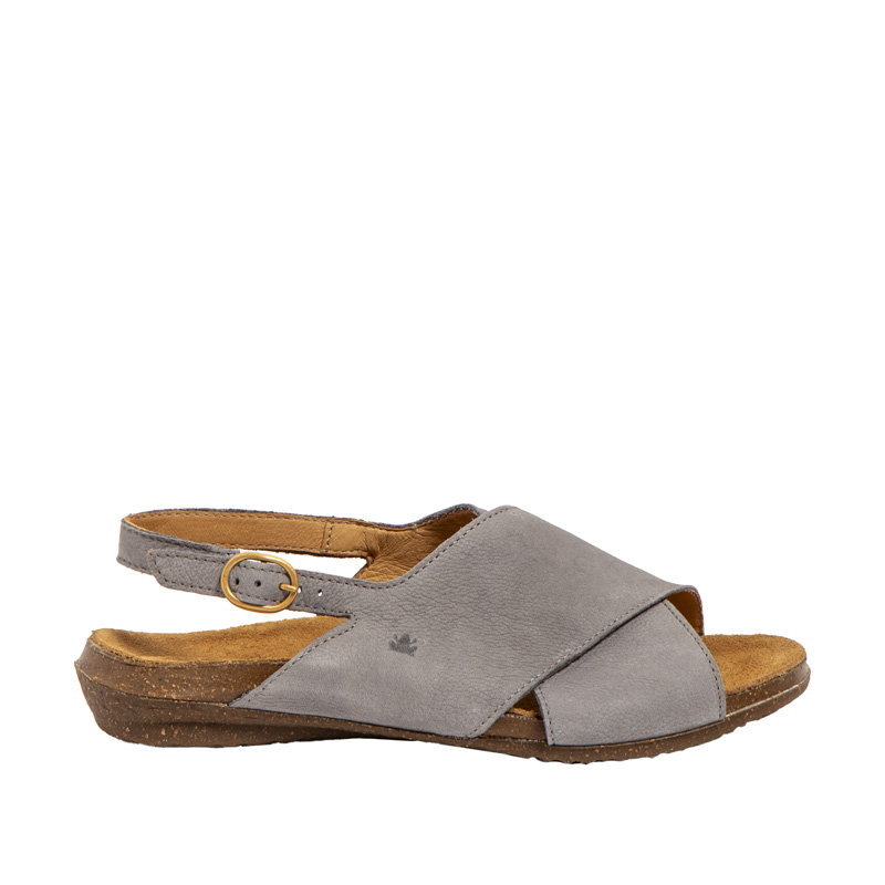 El Naturalista Wakataua N5558