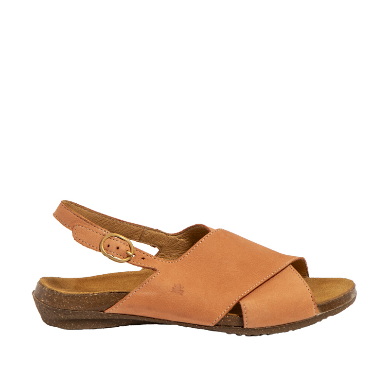 El Naturalista Wakataua N5558