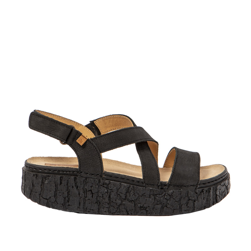 El Naturalista Shinrin N5973