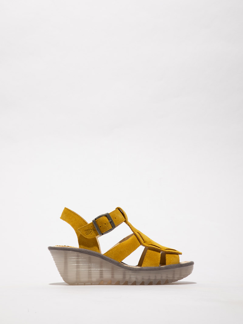 Yilk